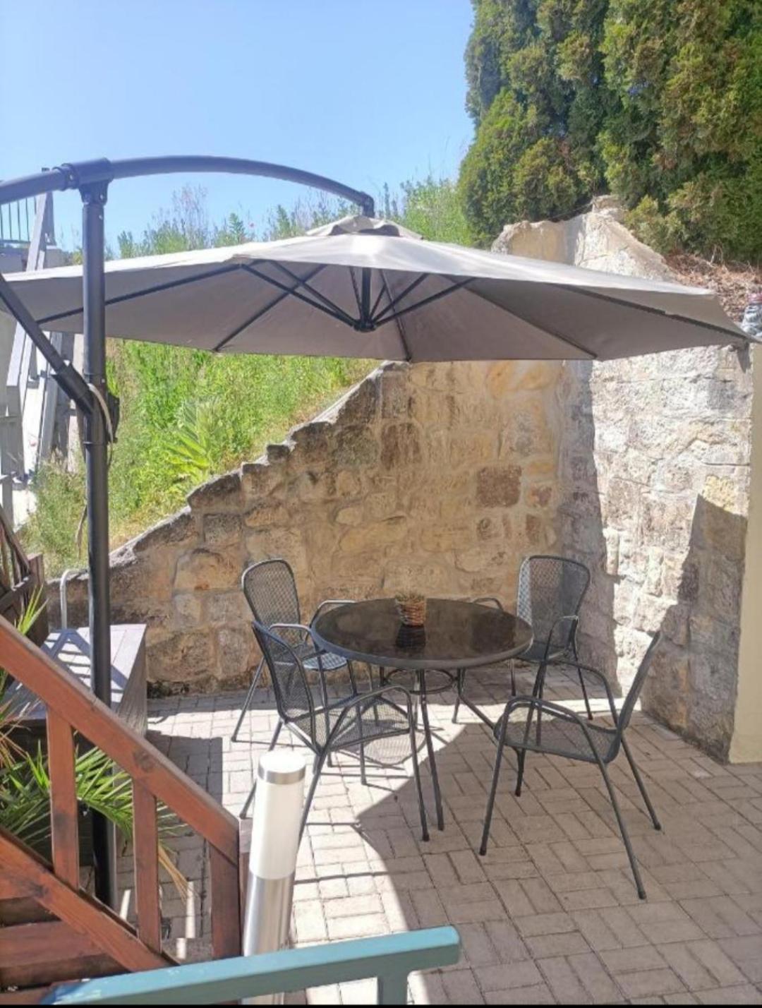 Gohrischstein Blick Apartment *